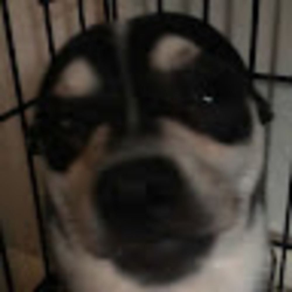 Meet your Posher, Kaelyn